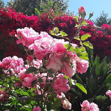 Back To Sorrento Bed & Breakfast ซานตาเญลโล ภายนอก รูปภาพ