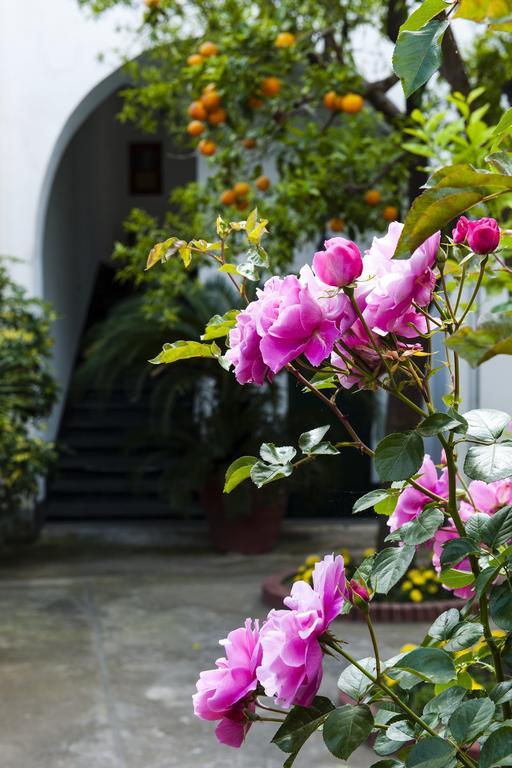 Back To Sorrento Bed & Breakfast ซานตาเญลโล ภายนอก รูปภาพ