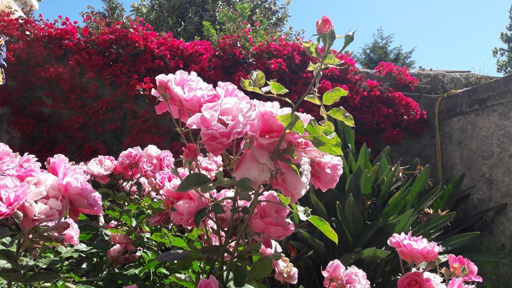 Back To Sorrento Bed & Breakfast ซานตาเญลโล ภายนอก รูปภาพ